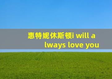 惠特妮休斯顿i will always love you